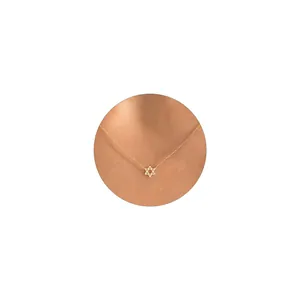 Detail van de goudkleurige Davidster hanger aan een minimalistische roestvrijstalen ketting