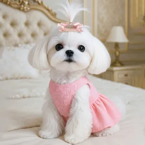 Gros plan d'une robe rose en tweed pour animal avec nœud assorti sur un petit chien blanc