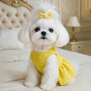Robe en tweed jaune pour chien avec pince à cheveux nœud perlé pour chiots