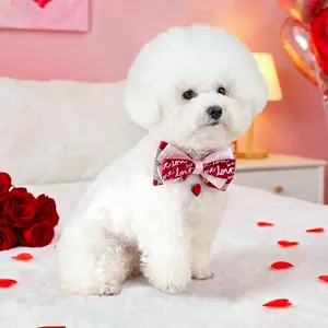 Gros plan du nœud papillon rose pour animal avec texte love et pendentif cœur rouge