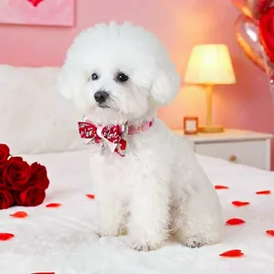 Détail d'un collier pour animal à fleurs roses avec nœud papillon rouge 'Love'