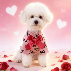Pink pet sweater with red bow and heart pattern shown on a white Bichon dog