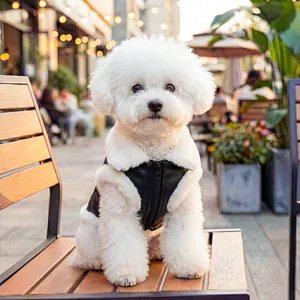 Chic black faux leather pet vest with white fleece trim and zipper for small dogs