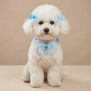 Detailed view of luxury light blue pet lace collar and ribbon bow hair clips with pearls