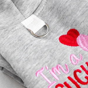 Détail du sweat à capuche gris pour chien avec anneau en D et broderie de cœur