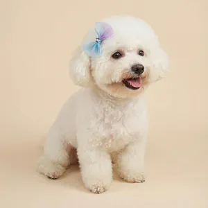 Detail van blauw-paarse organza strik met strassteentjes op een witte hond