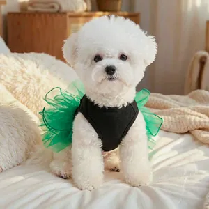 Cute pet dress with black ribbed top and green mesh tutu worn by a white Bichon dog