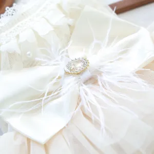 Detail of pet wedding dress with lace, satin bow, jewel brooch and soft feathers