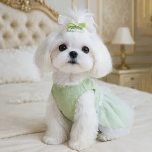 Robe de princesse verte pour chien avec jupe en tulle et pince à cheveux à nœud perlé