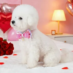 Détail du nœud papillon rose motif Love avec breloque cœur sur un chien Bichon blanc