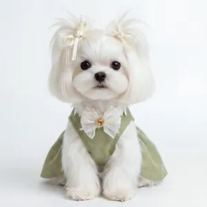 Detail of green pet dress with lace collar, pearl bow, and matching hair clips