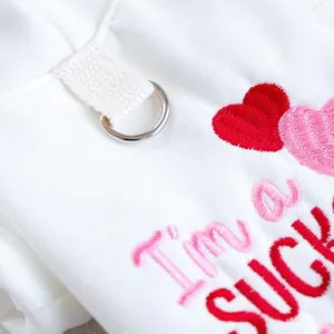 Détail d'un sweat pour chien avec anneau en D et broderie de cœurs sur tissu blanc doux