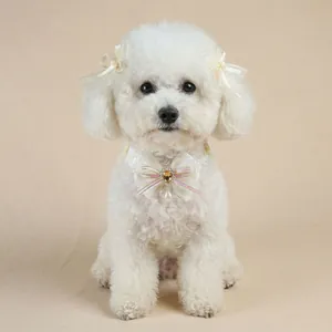 Detail of white dog wearing lace bow collar with heart gem and matching hair clips