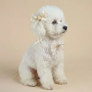 Detailed view of cream lace pet collar and ribbon bowtie hairclip with faux rhinestones
