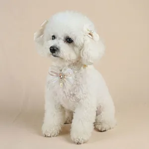 Detail of dog lace collar with pink gemstone and satin bow hair clips on white poodle