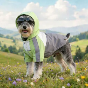 Detail of waterproof dog rain jacket with reflective safety strips and a hood on green grass