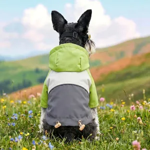 Waterproof hooded pet jacket in color-block design for small dogs, outdoors on grass