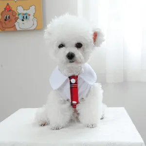 Chien portant une chemise scolaire pour animaux avec col blanc et cravate écossaise