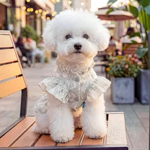 Lace pet dress with ruffle collar and bow for small dogs in a sweet outdoor setting