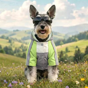 Puppy waterproof windbreaker with hood, reflective stripes and matching goggles