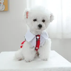 Détail d'une chemise pour chien style britannique avec nœud rouge et cravate