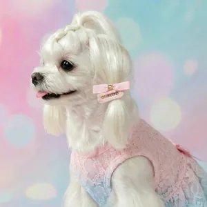 Roze en blauwe kanten bruidsjurk voor kleine honden met een bijpassende strik haarspeld