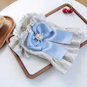 Detail of pet lace dress with bright blue satin bow and rhinestone floral center