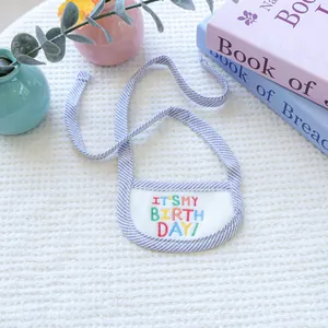 Detailed close-up of blue striped pet birthday bib with colorful embroidered text