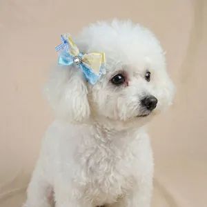 Gros plan d'un nœud papillon pour chien bleu et jaune avec cristal sur un chien blanc