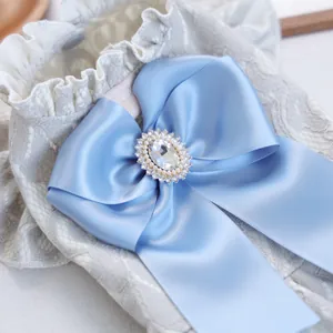 Detail of light blue satin bow with pearl rhinestone center on grey lace pet dress