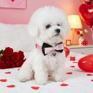 Détail d'un collier en cuir rose pour chat avec un nœud en satin et un pendentif cœur