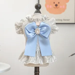 Elegant pet lace dress with a light blue satin bow on a small wooden mannequin stand