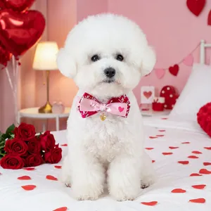 Nœud papillon rose et rouge pour chien avec breloque cœur pour la Saint-Valentin