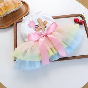 Close-up of rainbow tutu pet dress with rabbit embroidery and silk bow on wooden tray