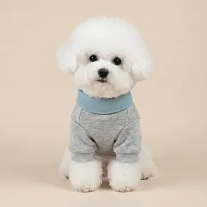 Hunde-College-Sweatshirt in Grau und Hellblau für kleine Hunde und Katzen