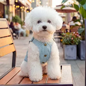 Σκύλος Bichon με κομψό μπλε τζιν γιλέκο κατοικίδιων με vintage μεταλλικά κουμπιά