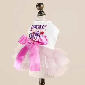 Detail of pink Easter pet tutu dress with Bunny Kisses embroidery and large satin bow