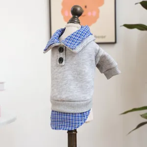 Dettaglio maglione grigio per cani con bordo a quadri blu e bottoni decorativi