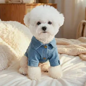 Close-up of a blue denim pet jacket with vintage bronze buttons on a white bichon dog