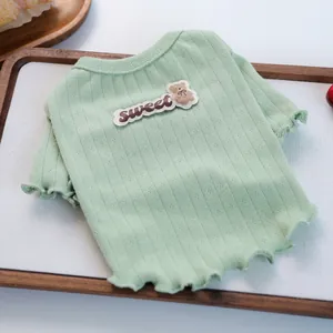 Nahaufnahme hellgrüner Haustier-Strickpullover mit Bären-Patch und gewelltem Saum
