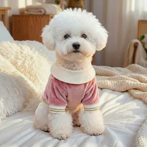 Pink velvet dog polo shirt with white collar and gold stripes for small pets