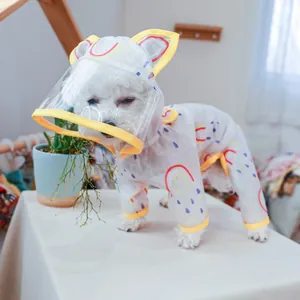 Detail of pet transparent rainbow raincoat with yellow edging and protective hood