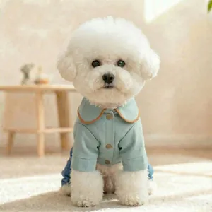 Blue pet shirt with Peter Pan collar and metal buttons worn by a white Bichon dog