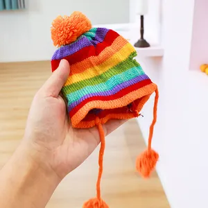 Detailopname van regenboog gestreepte gebreide muts voor huisdieren met oranje pompons