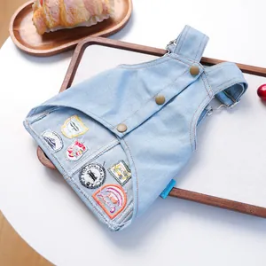 Detailopname van lichtblauwe denim overal voor huisdieren met kleurrijke borduursels en knopen