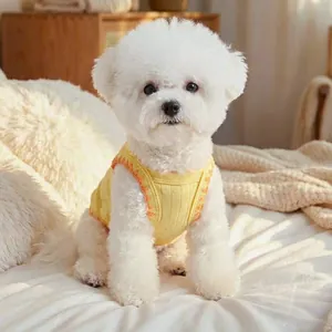 Detail of yellow ribbed knit pet vest with orange crochet trim on a small Bichon dog