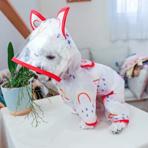 Detail of dog rainbow raincoat with transparent windproof mask and cute red cat ear hood