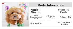 Size guide for pet sweater featuring a Toy Poodle model with detailed body measurements