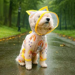 Transparent dog raincoat with rainbow prints and yellow trim on white curly-haired dog
