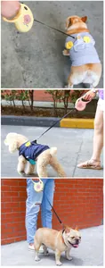 Detail of retractable dog leash with cartoon pattern and ergonomic handle for small pets